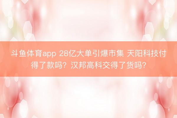 斗鱼体育app 28亿大单引爆市集 天阳科技付得了款吗？汉邦高科交得了货吗？