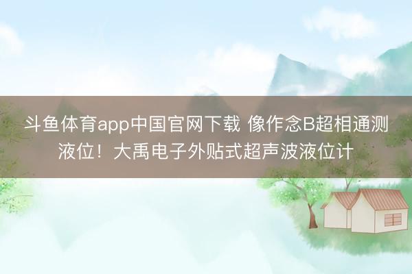 斗鱼体育app中国官网下载 像作念B超相通测液位！大禹电子外贴式超声波液位计