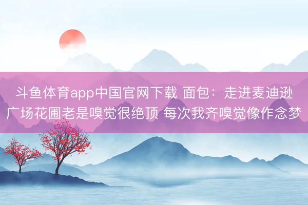 斗鱼体育app中国官网下载 面包：走进麦迪逊广场花圃老是嗅觉很绝顶 每次我齐嗅觉像作念梦