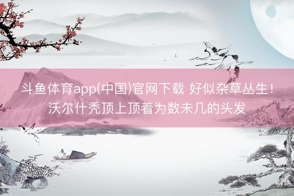 斗鱼体育app(中国)官网下载 好似杂草丛生！沃尔什秃顶上顶着为数未几的头发