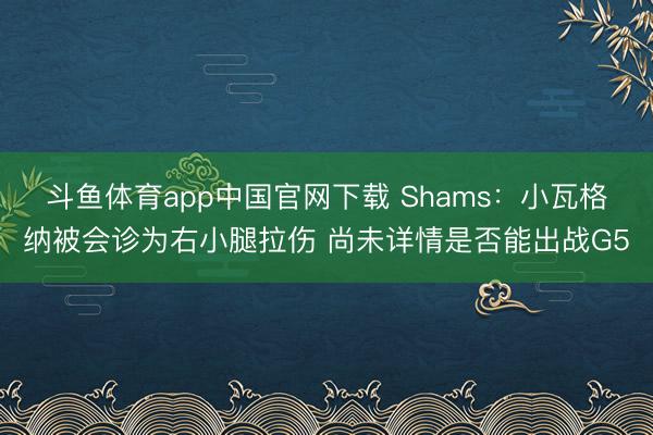 斗鱼体育app中国官网下载 Shams:小瓦格纳被会诊为右小腿拉伤 尚未详情是否能出战G5