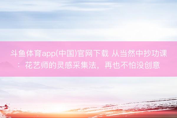 斗鱼体育app(中国)官网下载 从当然中抄功课：花艺师的灵感采集法，再也不怕没创意