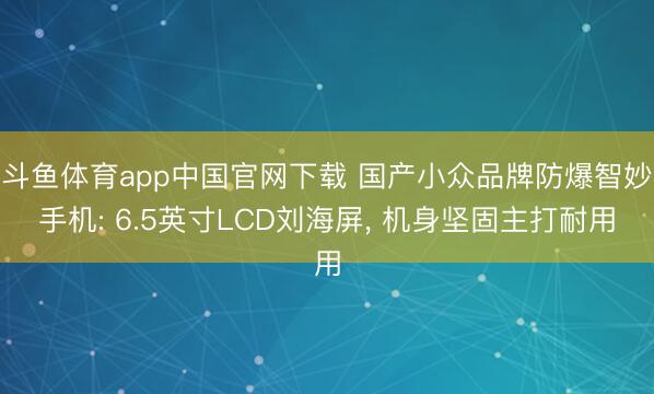 斗鱼体育app中国官网下载 国产小众品牌防爆智妙手机: 6.5英寸LCD刘海屏， 机身坚固主打耐用