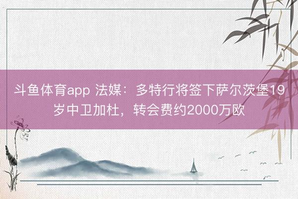斗鱼体育app 法媒：多特行将签下萨尔茨堡19岁中卫加杜，转会费约2000万欧