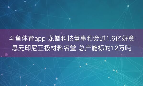 斗鱼体育app 龙蟠科技董事和会过1.6亿好意思元印尼正极材料名堂 总产能标的12万吨